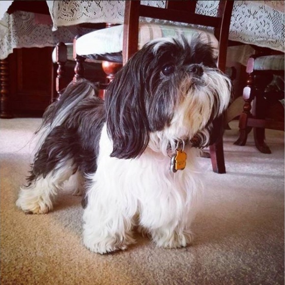 Meet your Poshinista , Dani ~~~~~ - Picture 5 of 7